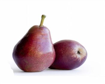 洛陽(yáng)梨樹(shù)苗